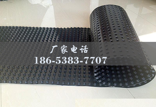 排水板廠家http://531153.com/